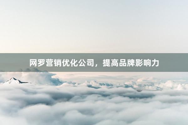 网罗营销优化公司，提高品牌影响力