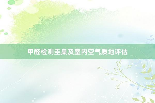 甲醛检测圭臬及室内空气质地评估